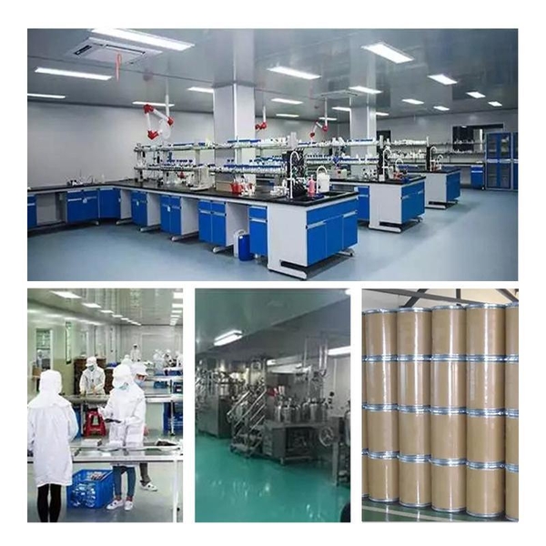 Porcellana Shaanxi Baisifu Biological Engineering Co., Ltd. Profilo Aziendale