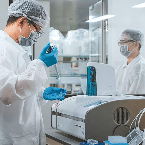 Shaanxi Baisifu Biological Engineering Co., Ltd. linea di produzione in fabbrica