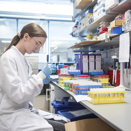 Shaanxi Baisifu Biological Engineering Co., Ltd. linea di produzione in fabbrica