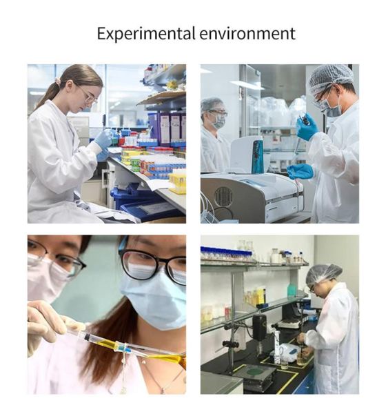 Shaanxi Baisifu Biological Engineering Co., Ltd. linea di produzione in fabbrica