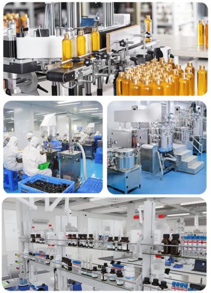 Shaanxi Baisifu Biological Engineering Co., Ltd. linea di produzione in fabbrica