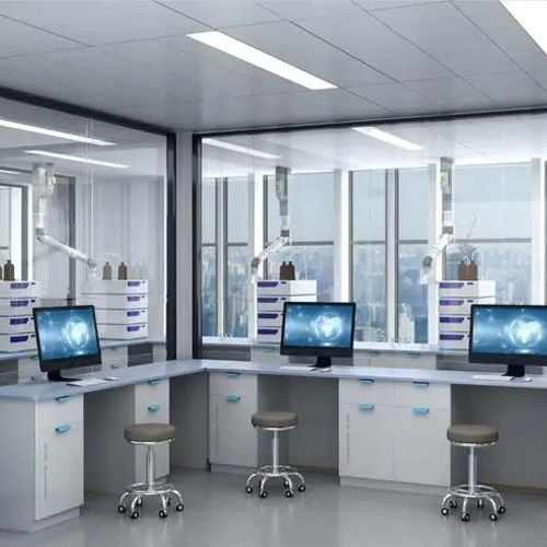 Shaanxi Baisifu Biological Engineering Co., Ltd. linea di produzione in fabbrica