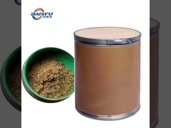 Polvere di sapore indiano