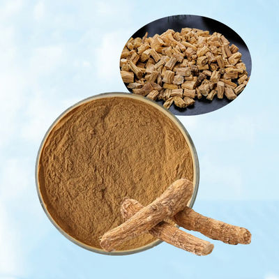 Baisfu best selling Fllase AsiabelI Root Tangshen Powder Brown Yellow Fine Powder Product Properties Used in beverage