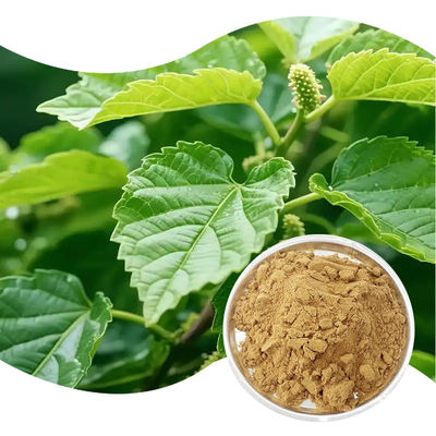 Baisfu Mulberry Leaf Extract High Quality Pure natural Light Brownish-Yellow Powder For Functional food beverage use in Health food products