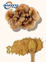 Baisfu Pure Plant Extract Maitake Mushroom Extract brown Powder Grifola frondosus P.E for Blood Sugar Control