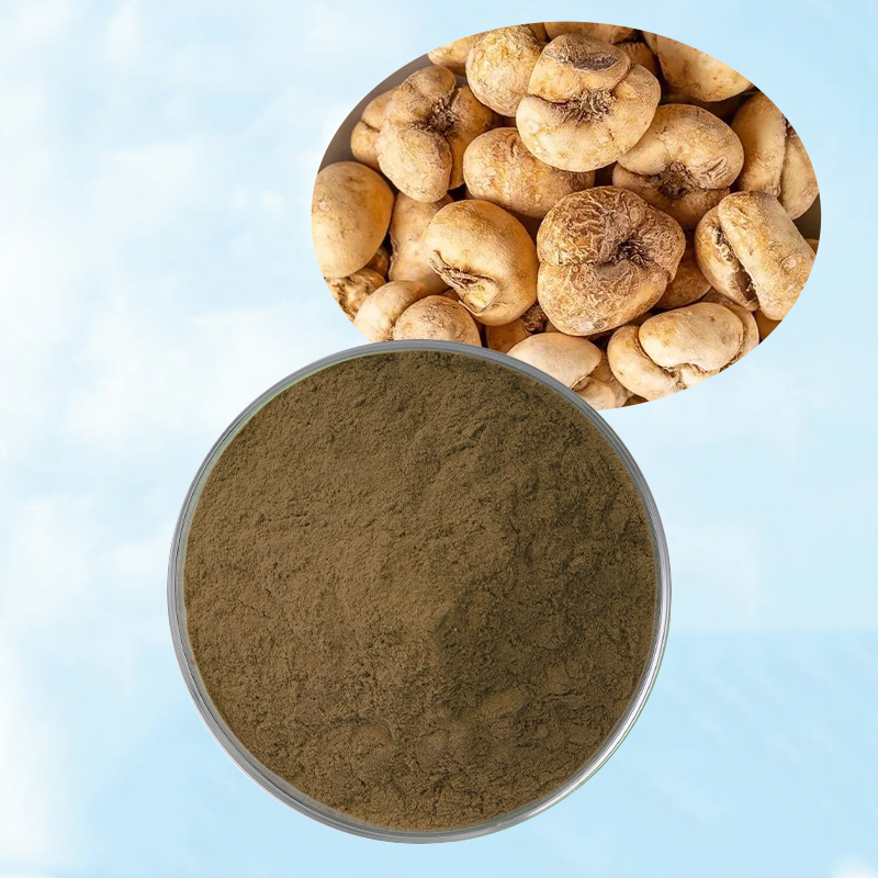Baisfu plant extract Brown powder Thunberg Fritillary Bulb Pale brown powder for officinal