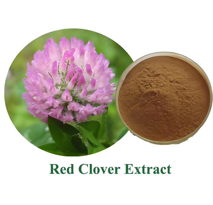 Baisfu Red Clover Extract, Brownish-yellow powder