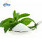 CAS 57817-89-7 Estratto vegetale puro L'erba Stevia Stevioside a basso contenuto calorico