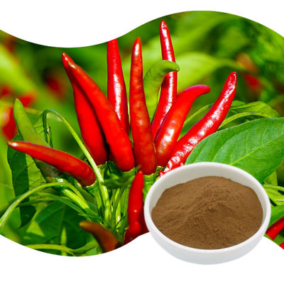 Baisfu High Quality Capsicum Extract  Pure Browm Yellow Fine Powder Capsaicin for flavoring and coloring agent